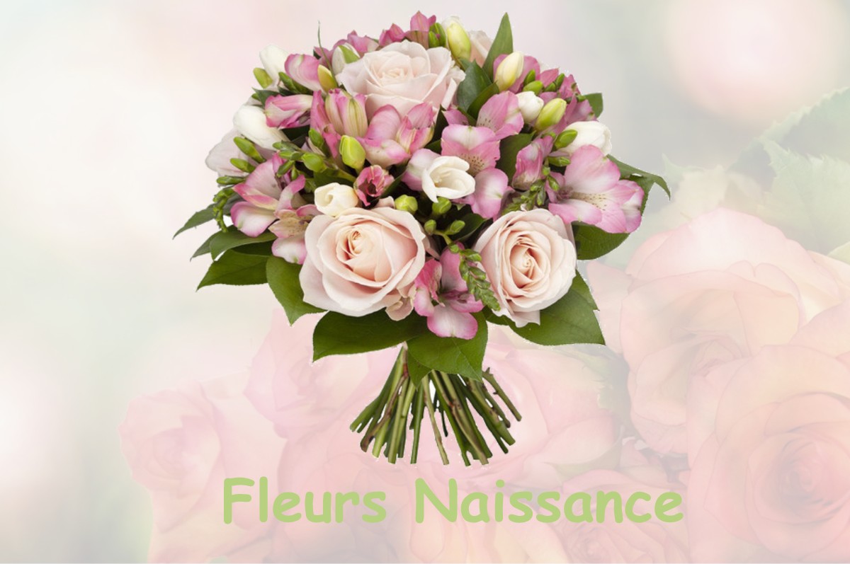 fleurs naissance XAINTRAILLES