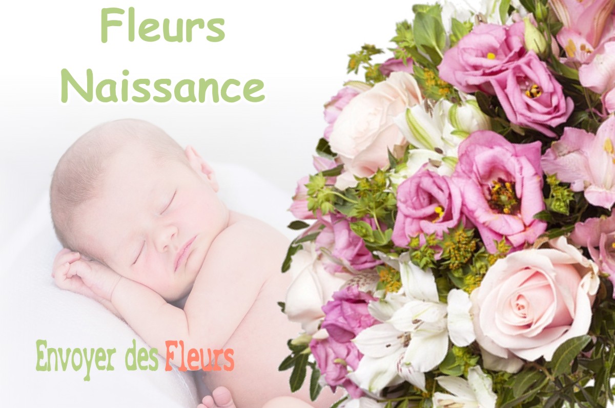 lIVRAISON FLEURS NAISSANCE à XAINTRAILLES